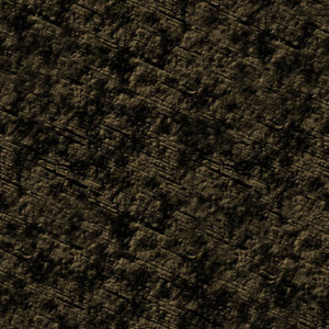 Rock_02(Dry).jpg