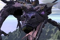 What Are You Looking At.jpg