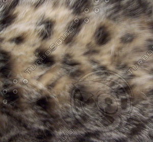 Animal Fur