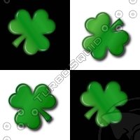 checkshamrock.bmp