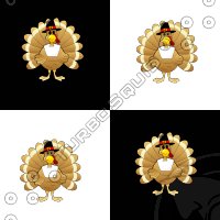 checkturkey.bmp