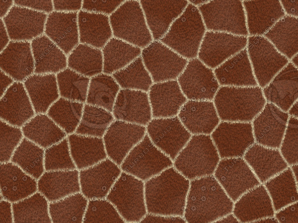 giraffe fur texture