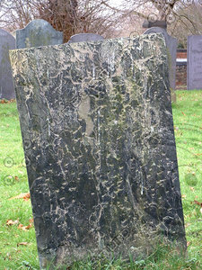 graveback1.jpg