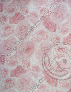 Rosy Fabric