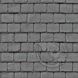 slate roof 04.jpg