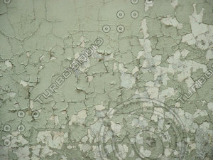 wall 14.jpg