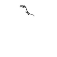 Slam in Wall