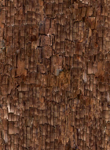 wood1.jpg