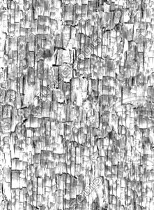 wood1_bump.jpg