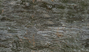 wood3.jpg