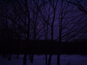 A Journey To The Night Of Love