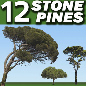 12 Stone Pine Tree Collection ---------------------  High Resolution