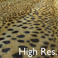 Leopard Texture High Resolution.JPG