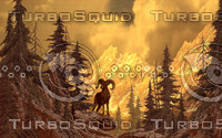 Big Horn Sheep / AF-038