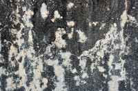 Concrete Texture 005