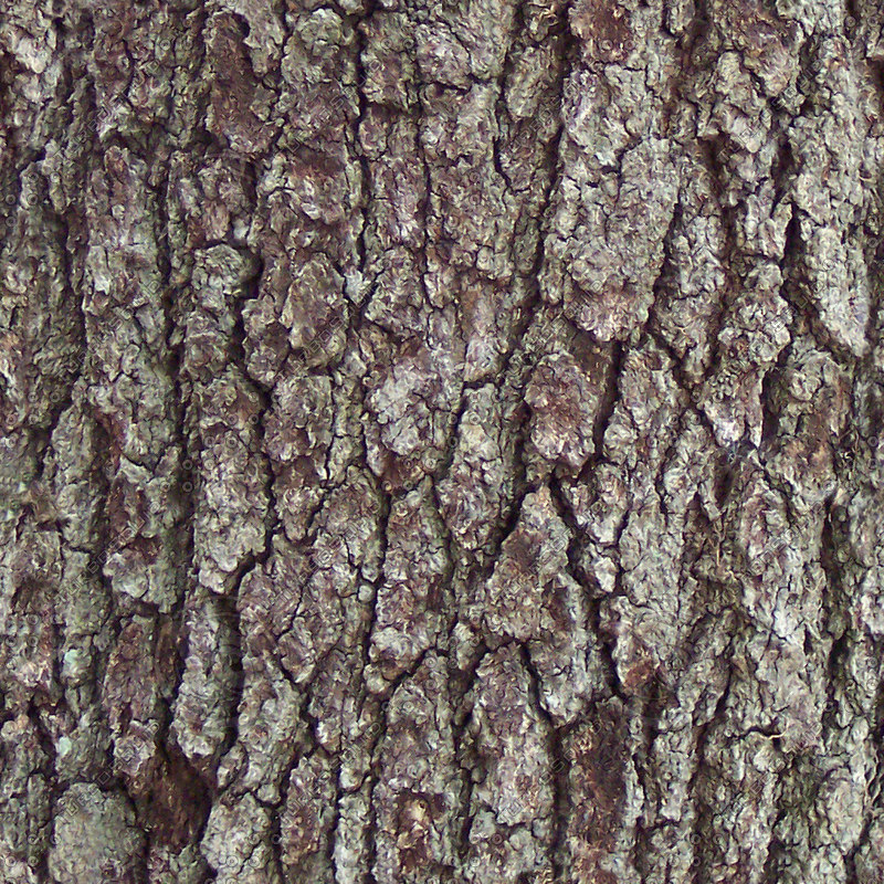  https://static.turbosquid.com/Preview/2014/08/01__14_02_41/Dark_Bark.jpg5bbd65a5-7878-4704-8de5-14075685cbedOriginal.jpg