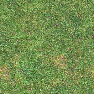 Texture Windows Bitmap grass