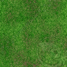 Texture Windows Bitmap Grass ground seamless