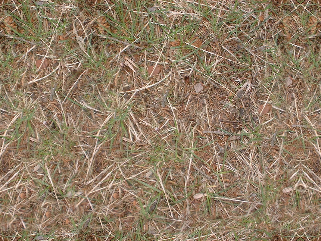 Texture JPEG grass straw cover