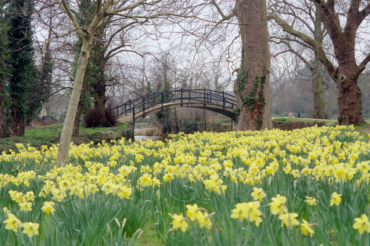 Stock JPEG christ church meadow