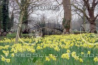 Christ Church Meadow