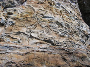 Seaside cliff rock 942.JPG