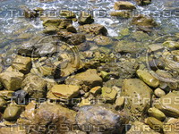 Surf and rocks 930.JPG