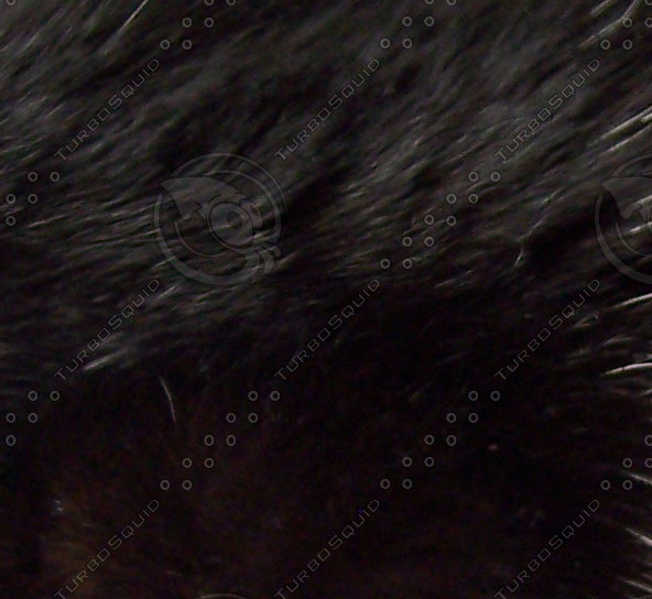  https://static.turbosquid.com/Preview/2014/08/01__14_02_41/animalfur2.jpgfc6b6a31-3688-4df3-ba08-26bb8c393c75Larger.jpg