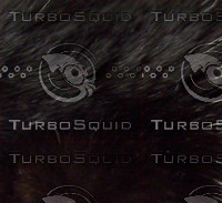 Animal Fur Black