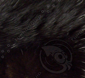 Animal Fur Black