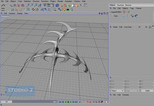 making_the_bone