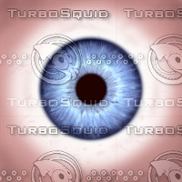 eye_02.jpg