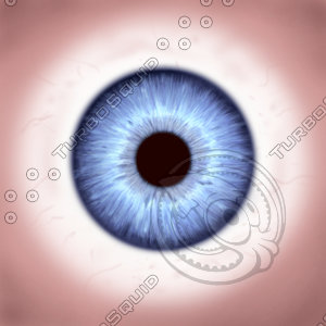 eye_02.jpg