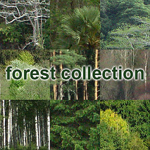 forest collection