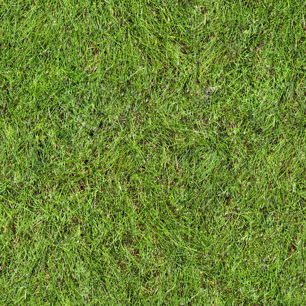 Texture Other grass texture map