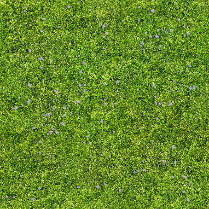 Texture Other grass texture map