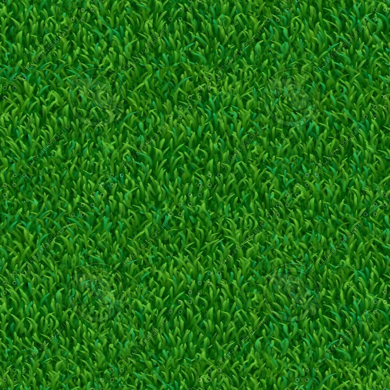 Texture other grass ground short