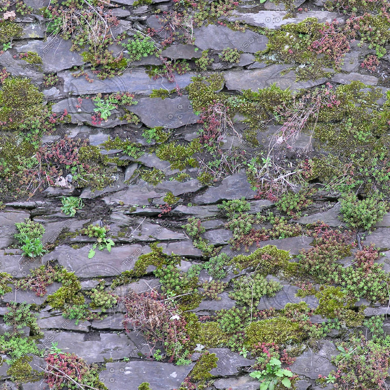 Texture Other mossy stone wall