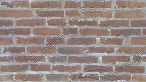 msBrick01