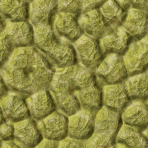 Toog Texture Texture JPEG Toad Game Reptile