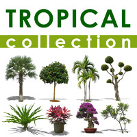 tropical collection