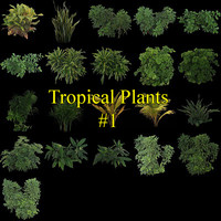 Tropical Plants collection #1