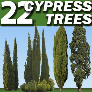 22 Cypress Collection High Resolution