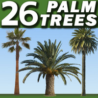 26 Palm Trees collection --------------------- High Resolution