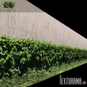 BUSH026.JPG
