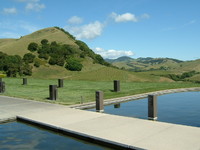 DSCF0131.JPG