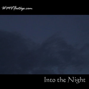 Into the night
