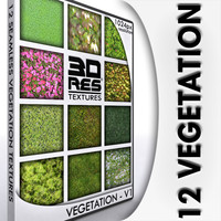 12 Vegetation Textures