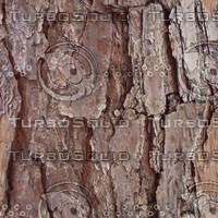 brown_bark.jpg