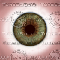 eye_01.jpg